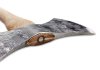 Hultafors Premium Wetterhall double edge throwing axe
