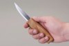 BeaverCraft Whittling Sloyd Knife C4M