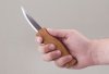 BeaverCraft Whittling Sloyd Knife with Oak Handle C4
