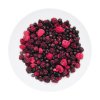 LyoFood | Wild berry mix | Freeze-dried food | 30g