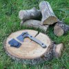 Hatchet Coyote