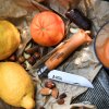 Opinel No 08 Carbon Steel Folding Knife