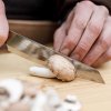 Petromax All Purpose Knife 14 cm