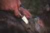 Casström Safari Mini Hunter, Stabilized Masurian Birch, Kydex