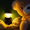 Aqiila Soundbird B10 | Speaker with lamp and Powerbank