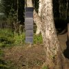 Aqiila Sunbird P56 Foldable Solar Panel | 54W