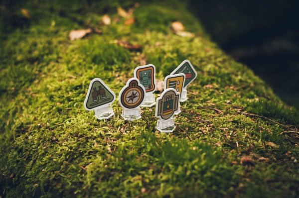 Skogen Board Game Swedish