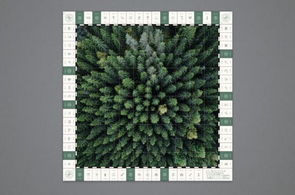 Skogen Board Game Swedish