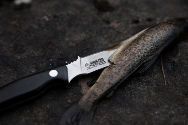 Casström Swedish Field Dresser, Black micarta, Kydex